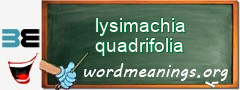 WordMeaning blackboard for lysimachia quadrifolia